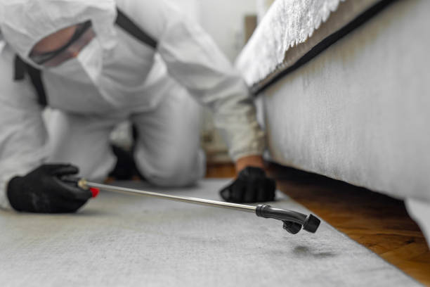 Professional Bed Bug Control technician working in Bargersville, IN